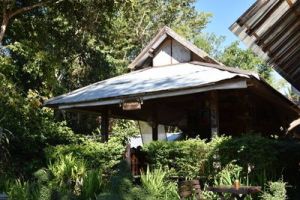 0ace6ad2e1f04b7ea9332773ca9c92b1