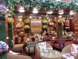 0d099cc72d8142bead0c8743969484e8