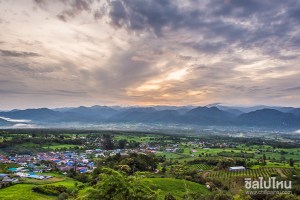 paiinmist_chillpainai_67