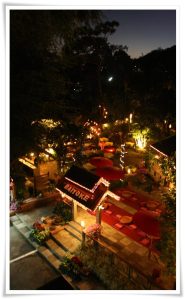 payslip_20100120162305