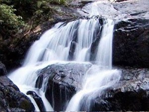 spd_20130329152210_b